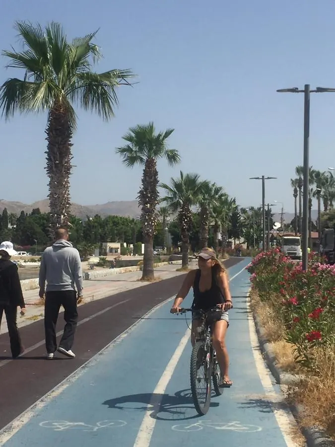 Bodrum-Turgutreis Merkezde Plaja 50 Metre Uzaklikta 1 Ve 2 Numarali Daireler