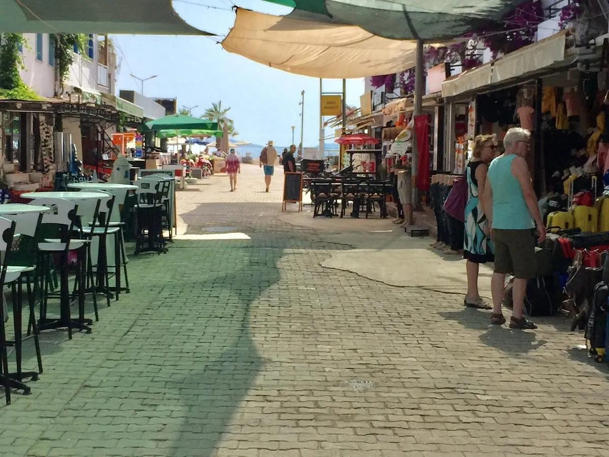 Bodrum-Turgutreis Merkezde Plaja 50 Metre Uzaklikta 1 Ve 2 Numarali Daireler