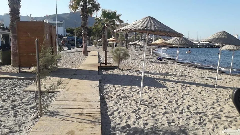 アパート Bodrum-Turgutreis Merkezde Plaja 50 Metre Uzaklikta 1 Ve 2 Numarali Daireler トルコ