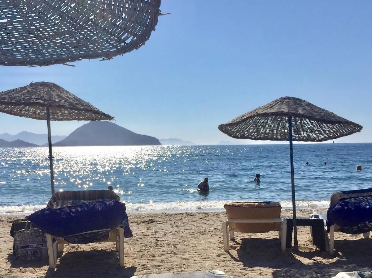 Bodrum-Turgutreis Merkezde Plaja 50 Metre Uzaklikta 1 Ve 2 Numarali Daireler アパート ボドルム
