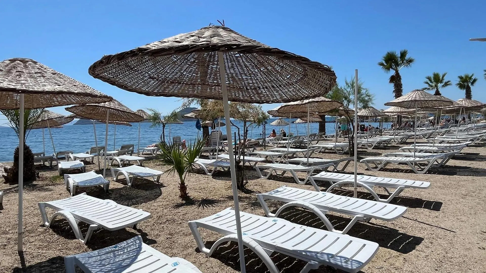 Bodrum-Turgutreis Merkezde Plaja 50 Metre Uzaklikta 1 Ve 2 Numarali Daireler トルコ