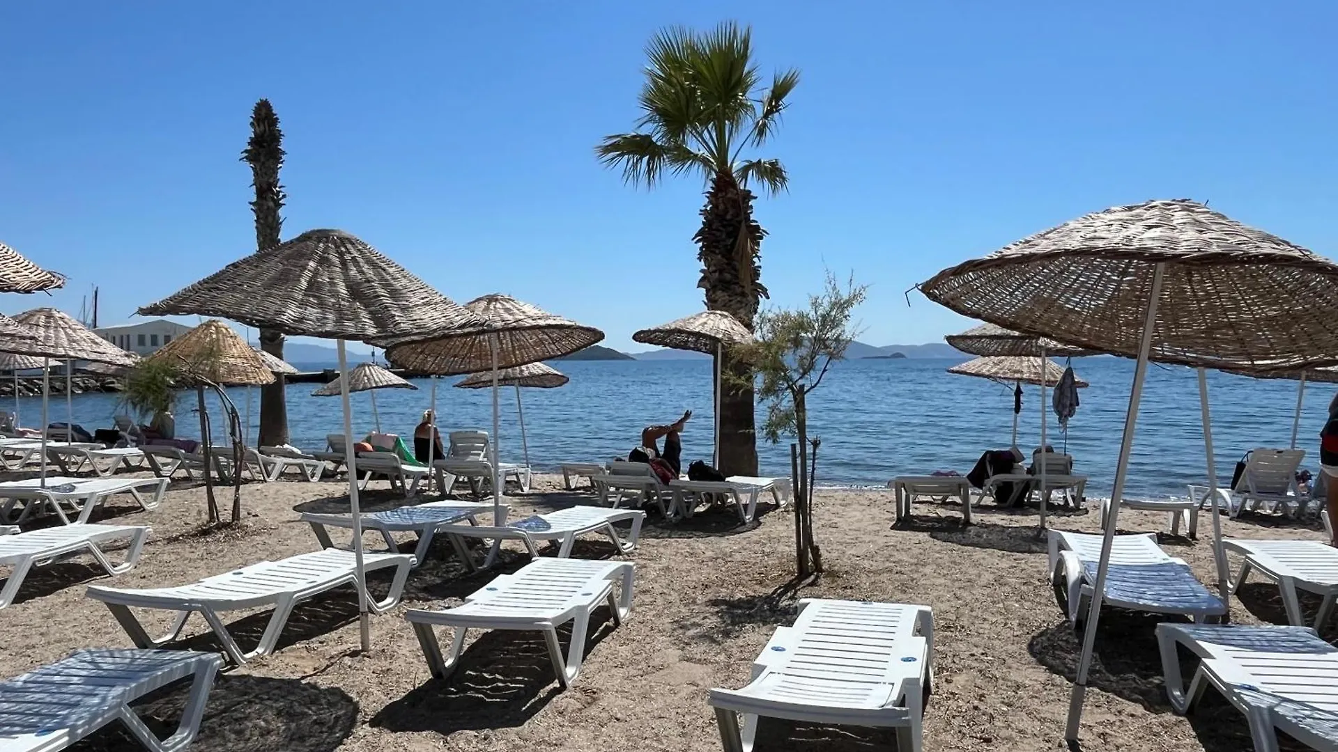 Bodrum-Turgutreis Merkezde Plaja 50 Metre Uzaklikta 1 Ve 2 Numarali Daireler 0*, ボドルム トルコ